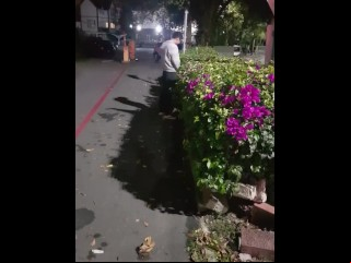 台灣國立大學彭x翔路邊尿尿沒洗手